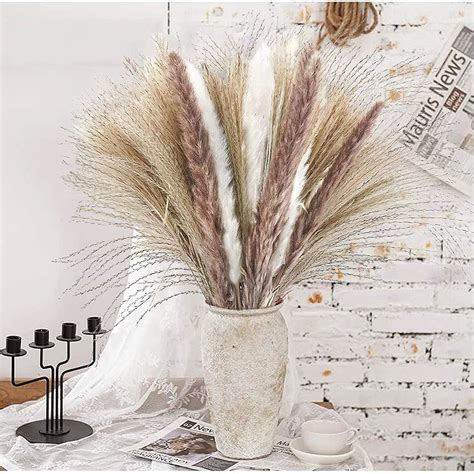 Buy Orchid M Pampas Grass 60 Pcs 15 Pcs White Pampas 15 Pcs Brown