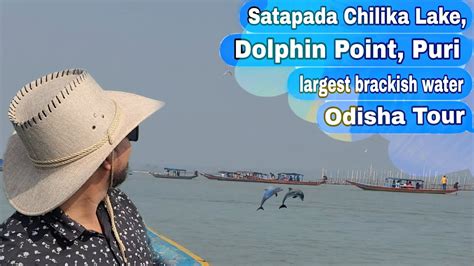satapada chilika lake dolphin point puri youtube