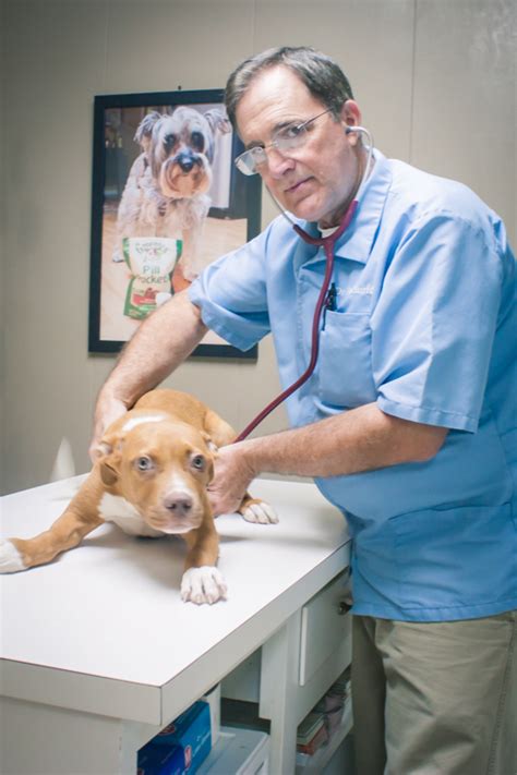 Columbia Animal Hospital | Columbia, Mississippi 39429 > About Us > Dr ...