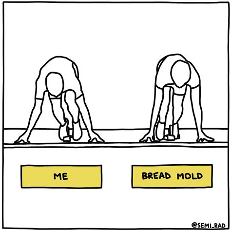 The Dinar Detectives: A Race Against Time - Truth or Fiction