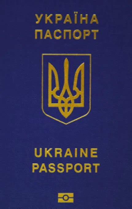 Фотографії на паспорт та візу онлайн