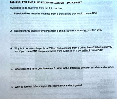 Solved Lab 10 Pcr And Allele Identification Data Sheet Questions To