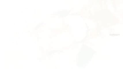 White Haired Maid Secretly Wants To Fuck Her Master K FPS Hentai Merch Art