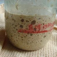 Хлеб цельнозерновой рецепт с фото пошагово - 1000.menu