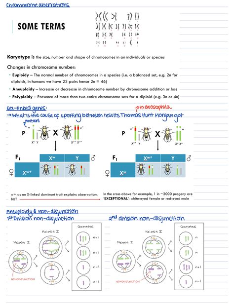 Chromosome Aberrations Chromosomeaberrations Sex Linkedgenes Pindrosophila Studocu