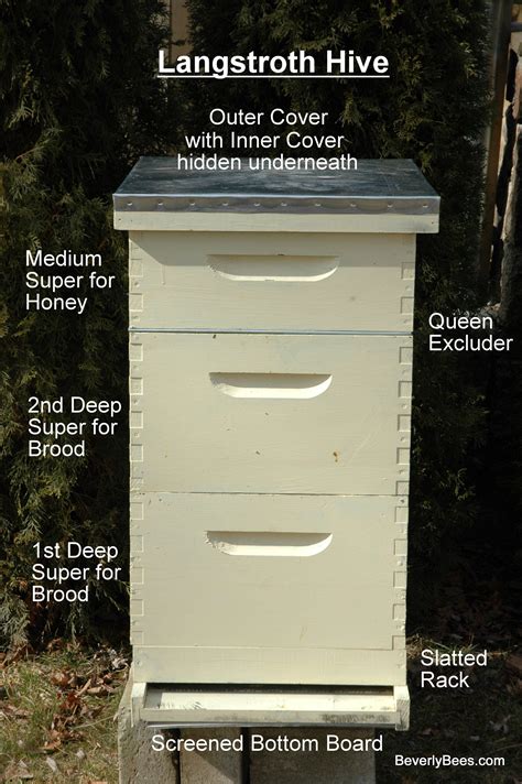 How To Set Up A Beehive Video A Beginner Beekeepers Guide Beverly