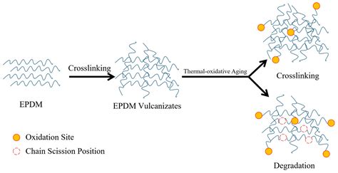 Polymers Free Full Text Performance Of Thermal Oxidative Aging On The Structure And