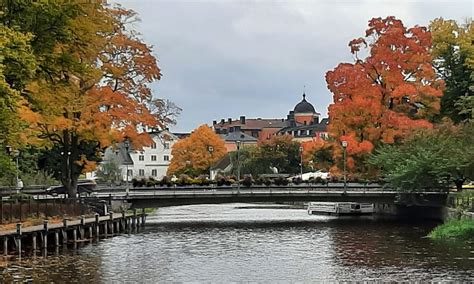 Hem F Reningen Aktiva Seniorer I Uppsala