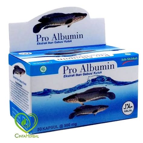 Jual Pro Albumin Ash Shihah Kapsul Ekstrak Ikan Gabus Azzayan Albumin