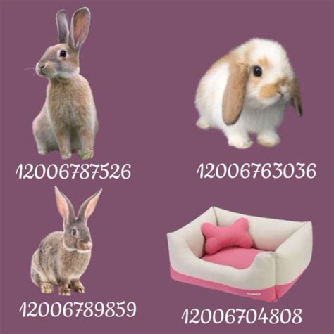 Bloxburg Pets Id Bloxburg Decal Codes Pic Code Bloxburg Decals Jethro