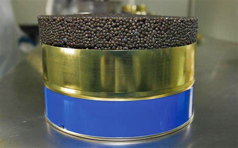 Caviar Production Plant - Caviar Tradition