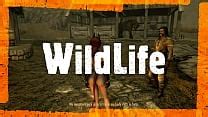 Wildlife Videos XVIDEOS
