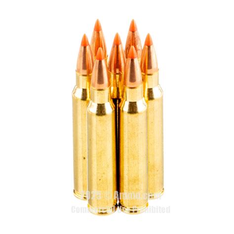 Best 223 Ammo Chosen By The Experts At
