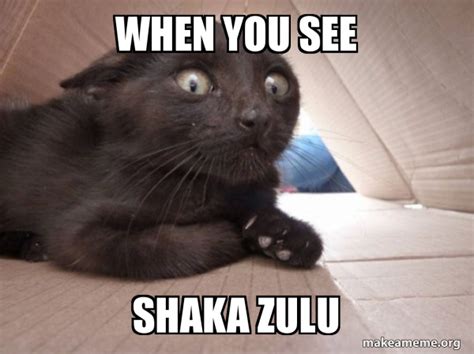 When you see Shaka Zulu - Schitzo Cat Meme Generator 