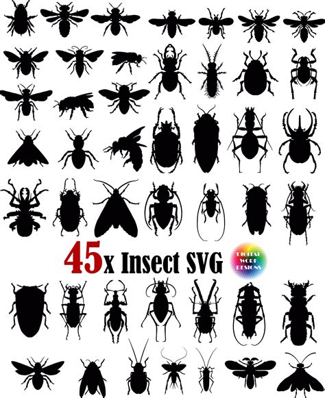 45x Insect Svg Insects Svg Insect Silhouette Insect Cut Etsy Uk