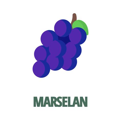 Grape Varietal Marselan Buy Wine Online Singapore Boundbywine