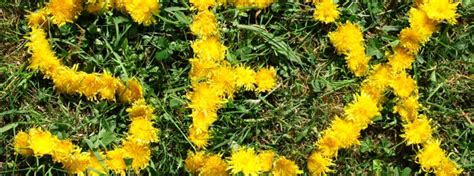 Liebe Sex Und Z Rtlichkeit Museumsquartier Wien