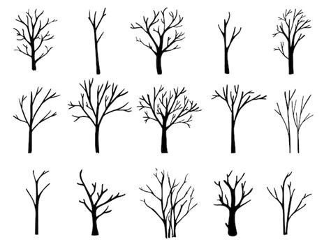 Premium Vector Naked Trees Silhouettes Set Hand Drawn Isolated Illustrations