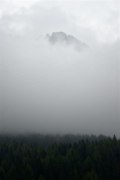 Understand and Eliminate Brain Fog - Simo Hosio