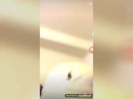 Pussy Peri ShesFreaky