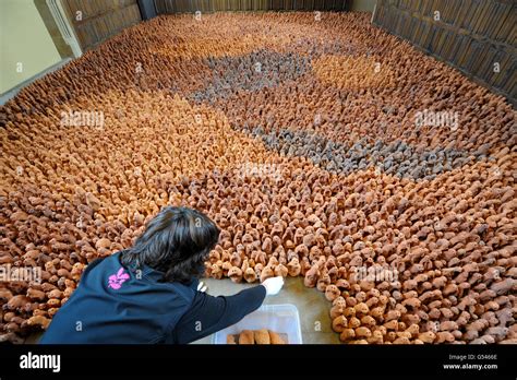 Field for the British Isles installation Stock Photo - Alamy