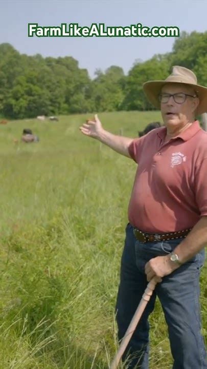 Joel Salatin On Responsible Cattle Spacing And Grazing Farm Cow