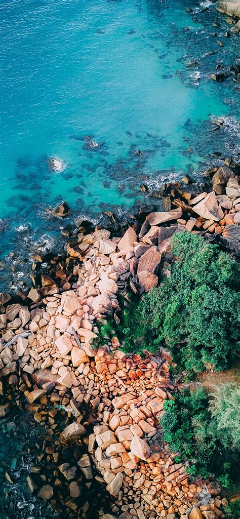 Seashore Wallpaper 4k Coastline Rocks Green Trees