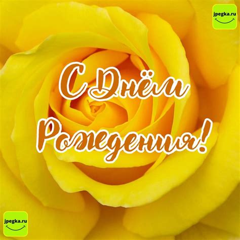 Жёлтые открытки с Днём Рождения: 55 картинок