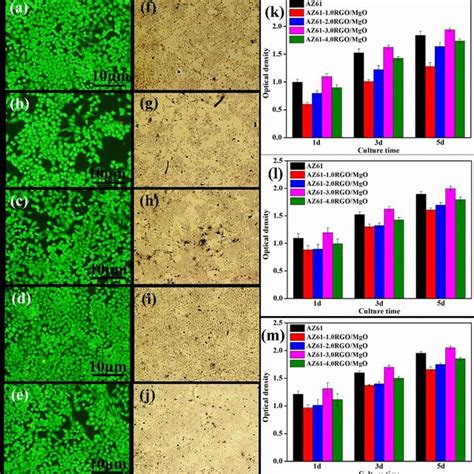 Fluorescent Images And Alp Staining Images Of Mg Cells Cultured In