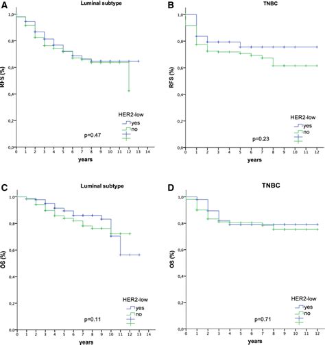 Relapse Free And Overall Survival Curves According To The HER2 Low