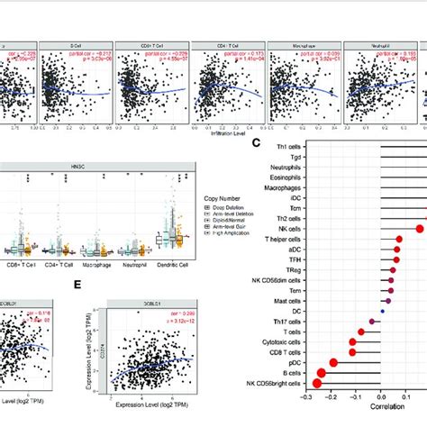 The Immune Infiltration Of Dcbld1 Expression In Hnscc A