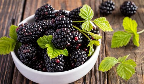Qual O Benefício Da Amora - 8 benefícios da amora - Receitas Maravilhosa