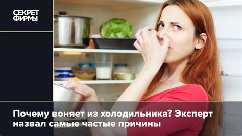 Запах в холодильнике: почему это происходит: Жизнь — Секрет фирмы