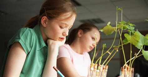 These Eco Friendly Science Projects Are Perfect For Students