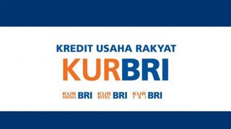 BRI Siap Salurkan KUR 2024 Ini Syarat Dan Prosedurnya