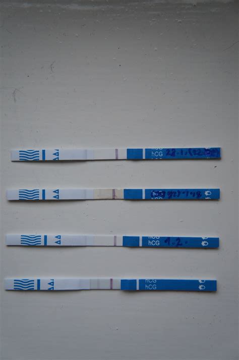 těhotenský mama test-6dní před MS ... - Poradna pro ženy a dívky ...