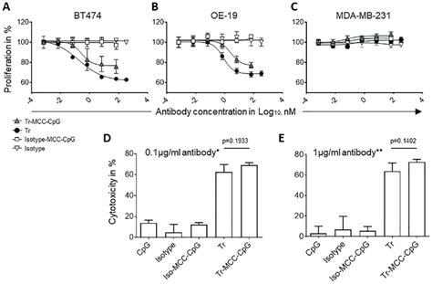 In Vitro Evaluation Of The Tumor Growth Inhibitory And Adcc Activity Of