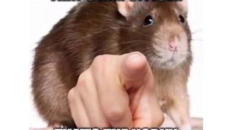 Only Watch If Horny YouTube