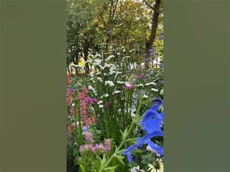 такие цветы в вазе без воды и без изменений могут стоять до 3 лет 🌹 ...