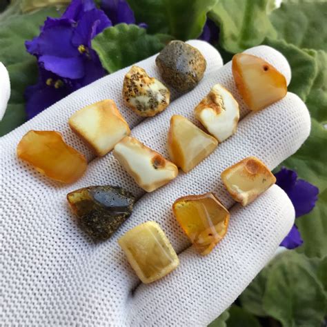 Янтарь заготовки. Набор 12шт. в интернет-магазине на Ярмарке Мастеров ...