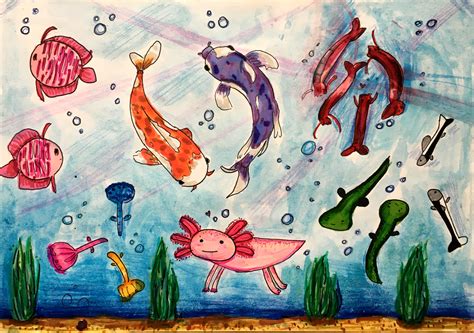 Aquatim | Acasa