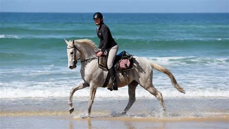 Faire Du Cheval Sur La Plage Tourisme Landes