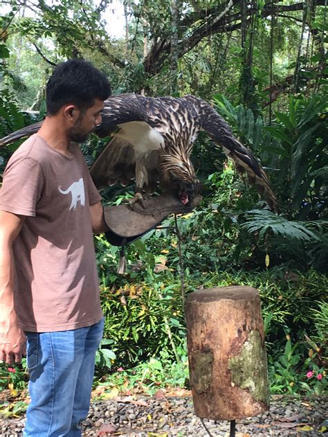 Philippine Eagle Foundation part 2 — Raptor Aid