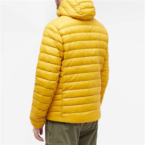 Patagonia Down Sweater Hoodie Cosmic Gold End Ar