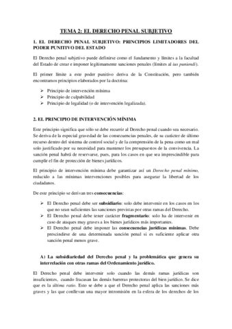 TEMA 2 El Derecho Penal Subjetivo Pdf