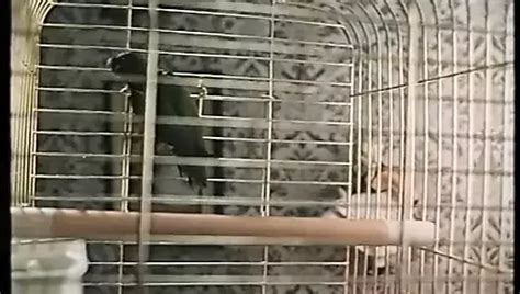 Misty Winter Nude Porn Videos Sex Tapes Xhamster