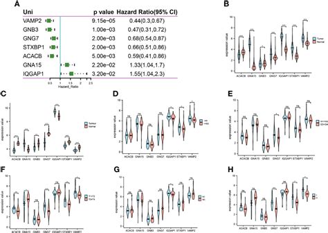 Frontiers Prognostic Signature Construction Of Energy Metabolism