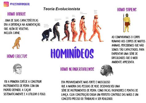 O Que É Hominídeo - porfavor mapa mental sobre primeiros hominídeos - brainly.com.br