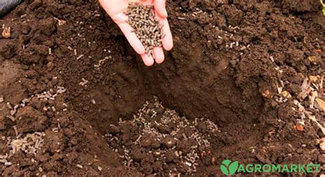 Как сделать удобрение из куриного помета - Agro-Market