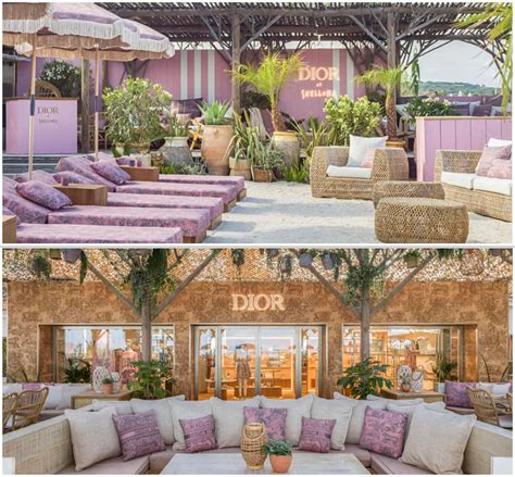 Hot Trend D O N Y C C Brand Th I Trang B Nh D N L N Cao C P U Thi Nhau M Ti M Cafe V Nh